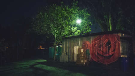 hidden roseの写真素材