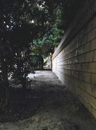 the hidden pathの写真素材