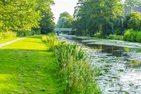 big river in a water landscape with grass and treesの写真素材