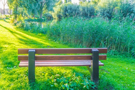 brown park bench at the park with grass lawn and reedの写真素材