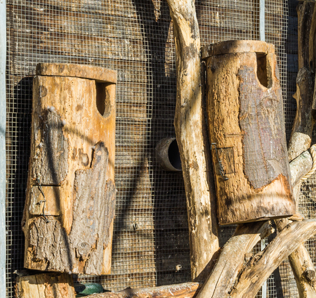 big hand crafted empty wooden bird houses made of a tree trunk and wood hanging on the wallの写真素材