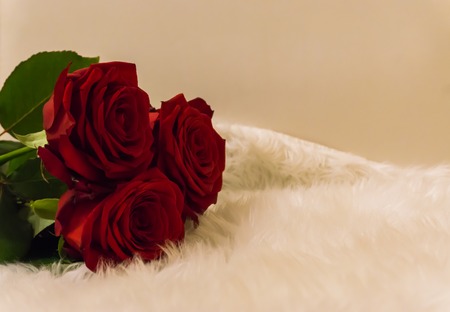 bouquet of red roses laying on a white carpet romantic symbol of love and appreciation on valentines dayの写真素材