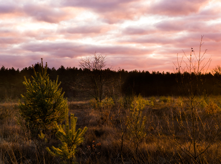 sundown in a heather landscape with nacreous clouds, a colorful weather phenomenon that rarely occurs in winterの写真素材