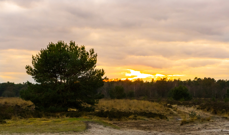 colorful sunset in a heather landscape with road, beautiful colors in the clouds and skyの写真素材