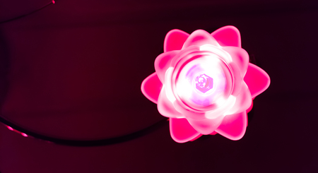 flower shaped lamp shining pink light in the dark, beautiful modern lamp decorationの写真素材