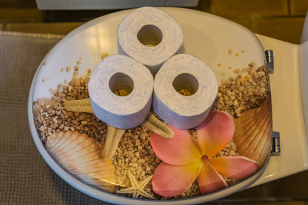 white toilet paper rolls on a water closet seat, bathroom interior, sanitary background