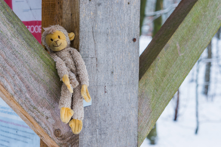 stuffed monkey between wooden beams, adorable cuddle toy for kids and adultsの写真素材