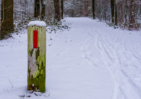 white wooden pole with a snowy forest road, winter season in the woods, trees and plants in the backgroundの写真素材