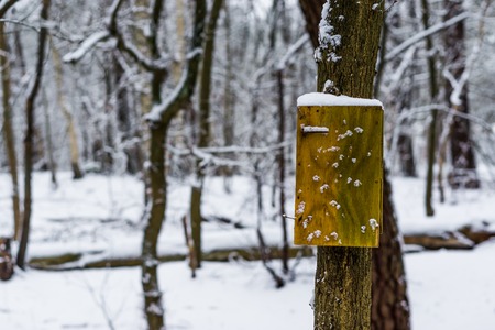 blank empty wooden sign board on a tree, forest landscape during winter season, white snowy sceneryの写真素材