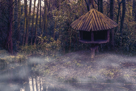misty swamp landscape with a tree hut at the river side, jungle nature sceneryの写真素材