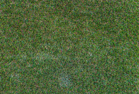 Modern artificial grass carpet in macro closeup, detail on grass blades, pattern of fake grass,...