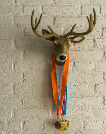 deer head with antlers hanging on a white brick wall, deer with sport medals around its neckの写真素材