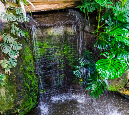 big waterfall in a garden with green leaves, tropical gardens and architectureの写真素材
