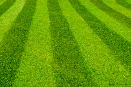 green grass lawn mowed in a striped pattern, decorative grass pattern, gardening and garden maintenanceの写真素材