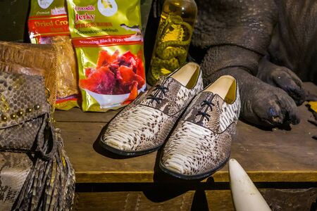 crocodile products in a shopping window, hunting and killing animals for luxury products, Kwadendamme, The netherlands, March 19, 2019のeditorial素材