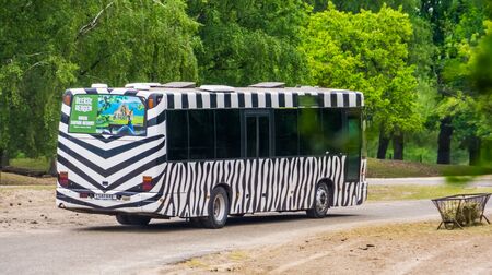 Safari tour bus with zebra print driving in safaripark beekse bergen, Hilvarenbeek, 25 may, 2019, the Netherlandsのeditorial素材
