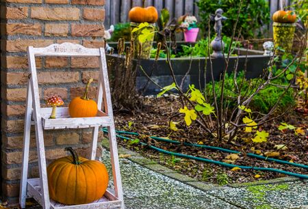 Autumn season garden, Traditional halloween and fall decorations, seasonal backgroundの写真素材