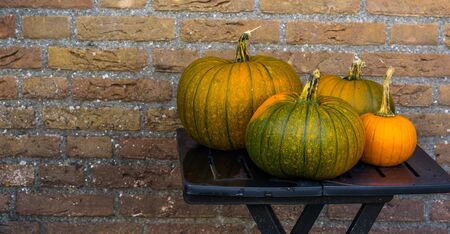 orange with green pumpkins on a table, halloween and autumn decorations, seasonal tradition...