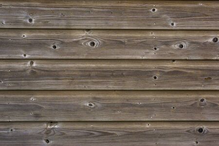 wooden palisade pattern in closeup, garden architecture, detailed texture background