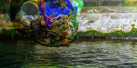 plastic water pollution, traveled up bag full of plastic coming out of the water, environment...