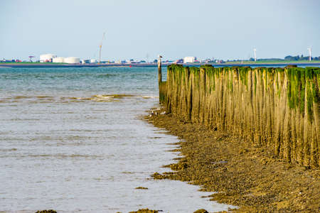 beach landscape of Breskens with view on the industrial zone of vlissingen, Zeeland, The Netherlandsの写真素材