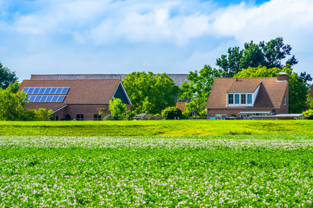 country side landscape with classical dutch homes in Waterlandkerkje, Zeeland, The Netherlandsのeditorial素材