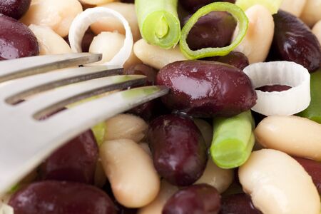 Close up of three bean salad with fresh kidney, cannellini, and green beans with green onionsの写真素材