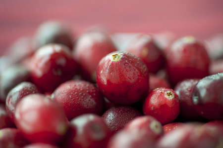 Macro of cranberries covered in moistureの写真素材
