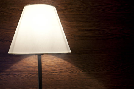 Lighted lamp shade and dark wood wall.の写真素材