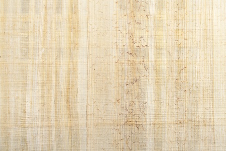 Papyrus type paper textue use as backgroundの写真素材