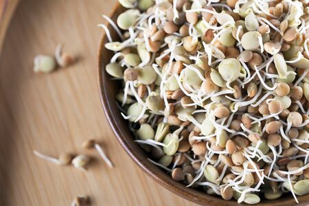 Mixed brown and green sprouted lentils in a wooden bowl の写真素材