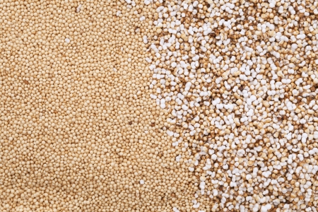 Popped and raw amaranth seedsの写真素材