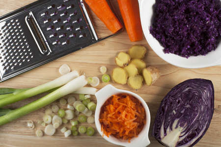 Ingredients for pot stickers including red cabbage, carrots, spring onions, and gingerの写真素材