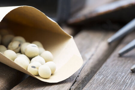 Mangetout pea seeds in packet, ready to be planted の写真素材