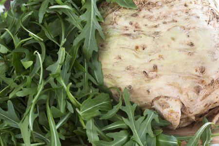Celeriac and Arugula lettuce ingredients for a healthy salad