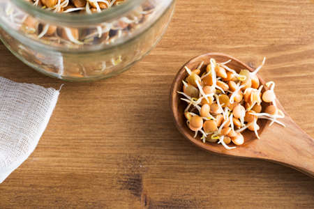 Making sprouts, lentil sprouts in wooden spoon with jar.の写真素材