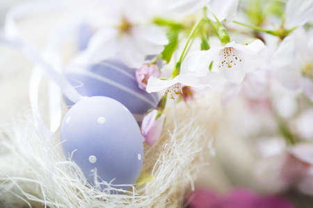 Soft pastel Easter eggs and cherry blossoms, high key image.の写真素材
