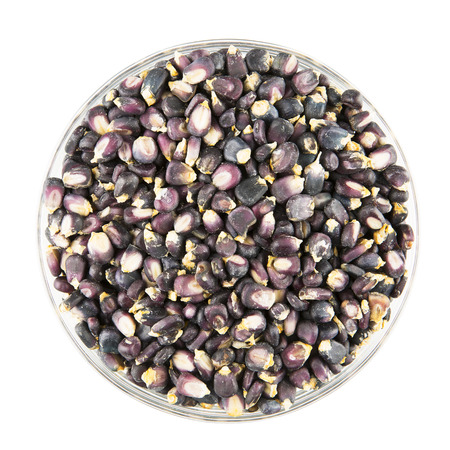 Bowl of dried blue corn hominy isolated on whiteの写真素材