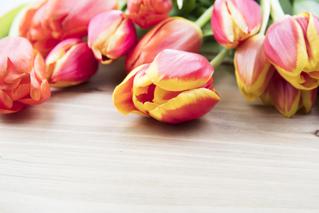 Beautiful red and yellow tulips on wooden tableの写真素材