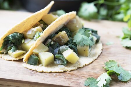Two vegan soft tacos filled with potatoes and spinach and topped with cilantro.の写真素材