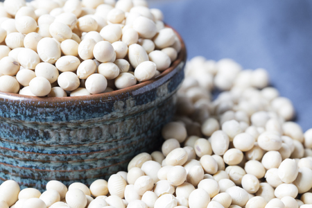 Dray soybeans in blue ceramic bowl, macro shoot at eye level.