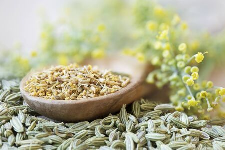 Fennel pollen in wooden spoon with fennel flowers adn seeds.