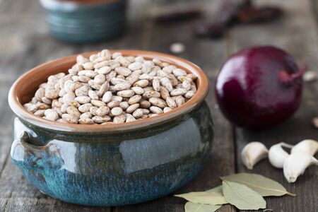 Pinto Beans and Spicesの写真素材