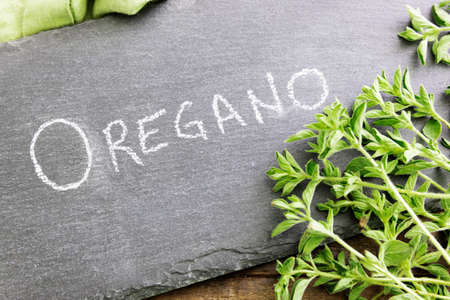 Fresh Oregano and Signの写真素材