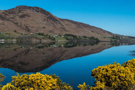 Perfect Reflection of a hill in a lake with some flower bush in the foreground. Horizontal. Landscape.の写真素材
