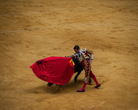 Bullfighter with a bullfighter in a traditional spectacle of bullfightのeditorial素材