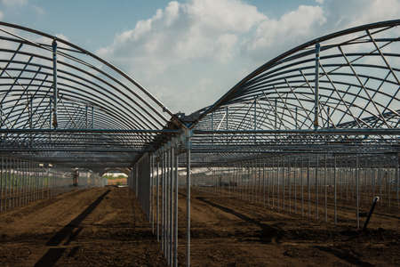 Greenhouse for growing vegetables. Greenhouses for growing vegetables in a greenhouse.の写真素材