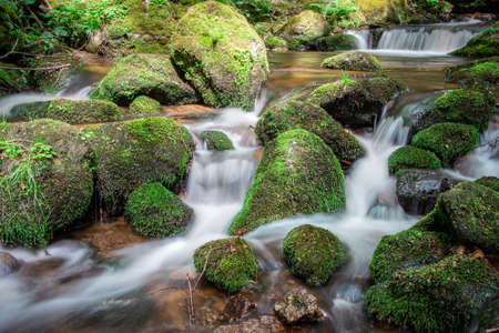 Waterfalls in the Ysperklamm in Yspertal Lower Austria in summerの写真素材
