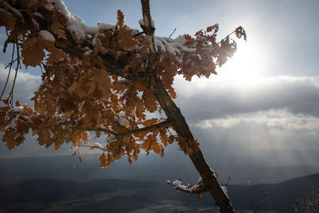Stormy Winter day at Hohe Wand National Park, Austria