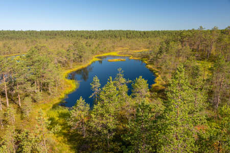 Viro Bog Trail in Lahemaa National Park, Estoniaの写真素材